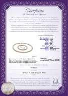 Product certificate: W-AAA-67-S