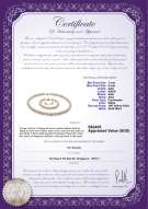 Product certificate: W-AAA-78-S