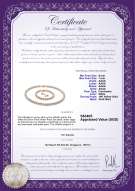 Product certificate: W-AAAA-657-S