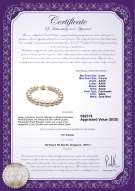 Product certificate: W-AAAA-89-B
