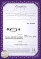 Product certificate: W-SS-Ebba-Clasp