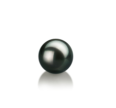 7-8mm AAA Quality Japanese Akoya Loose Pearl in Black