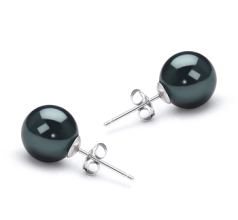 8.5-9mm AAA Quality Japanese Akoya Cultured Pearl Earring Pair in Black