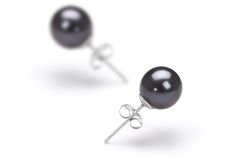 7-8mm AAAA Quality Freshwater Cultured Pearl Earring Pair in Black