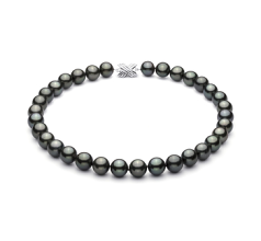 12-12.9mm AAA Quality Tahitian Cultured Pearl Necklace in Black