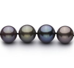 11.1-13.5mm AA+ Quality Tahitian Cultured Pearl Necklace in Multicolor