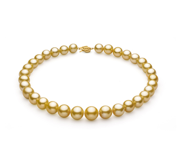 11.5-15.2mm AAA+ Quality South Sea Cultured Pearl Necklace in Gold