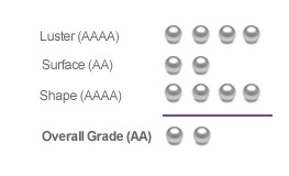 Pearls Only AAAA Pearl Quality Grading Sample